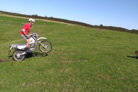 Safe use of Motorbikes on Farms from Worksafe